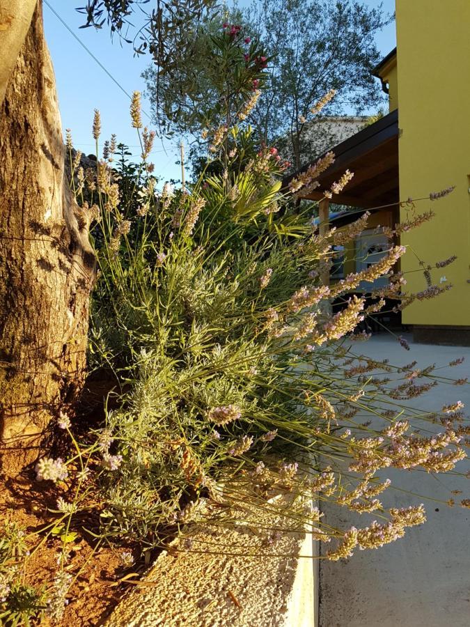 Apartmani Ljerka Malinska Εξωτερικό φωτογραφία