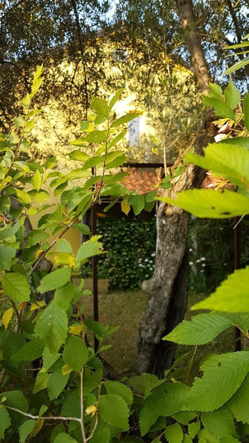 Apartmani Ljerka Malinska Εξωτερικό φωτογραφία