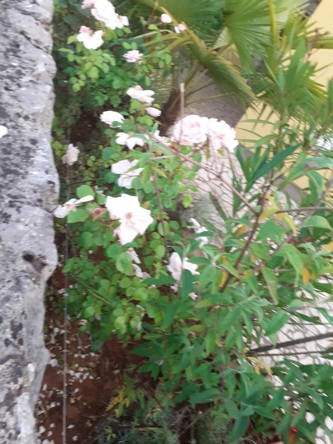 Apartmani Ljerka Malinska Εξωτερικό φωτογραφία